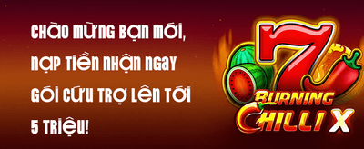 Hoàn Trả VIP Hàng Tuần